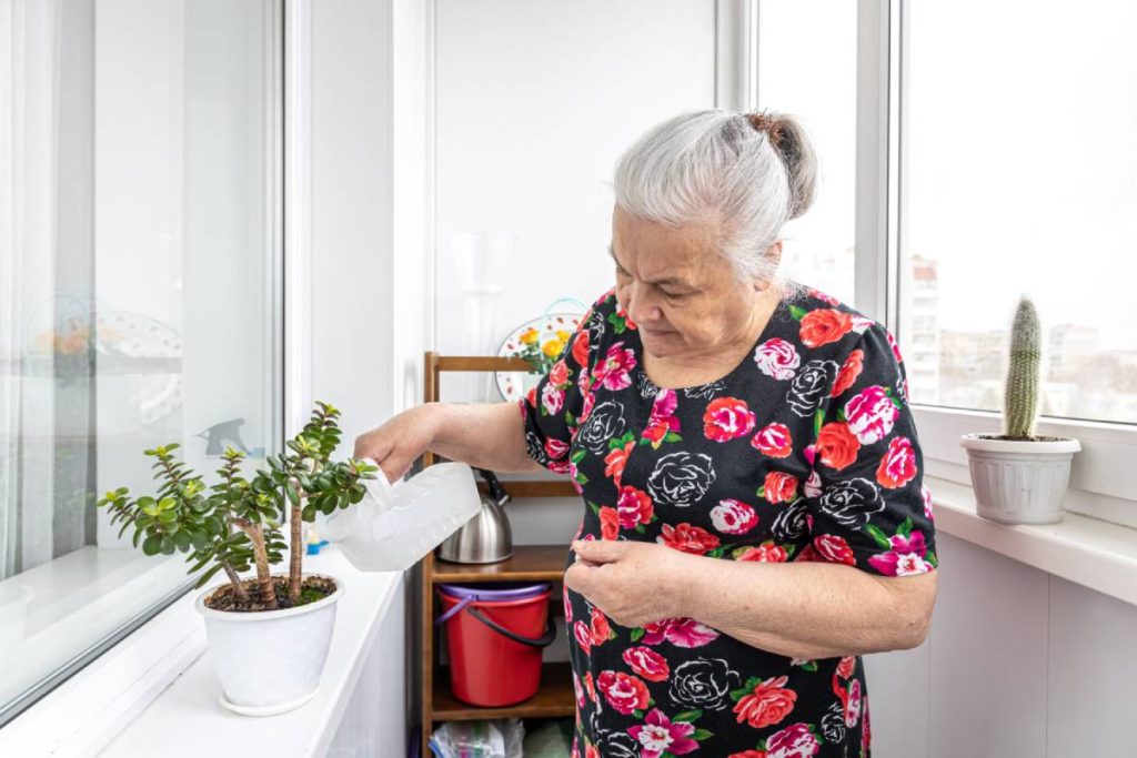 Une femme âgée arrose une plante sur le rebord de sa fenêtre